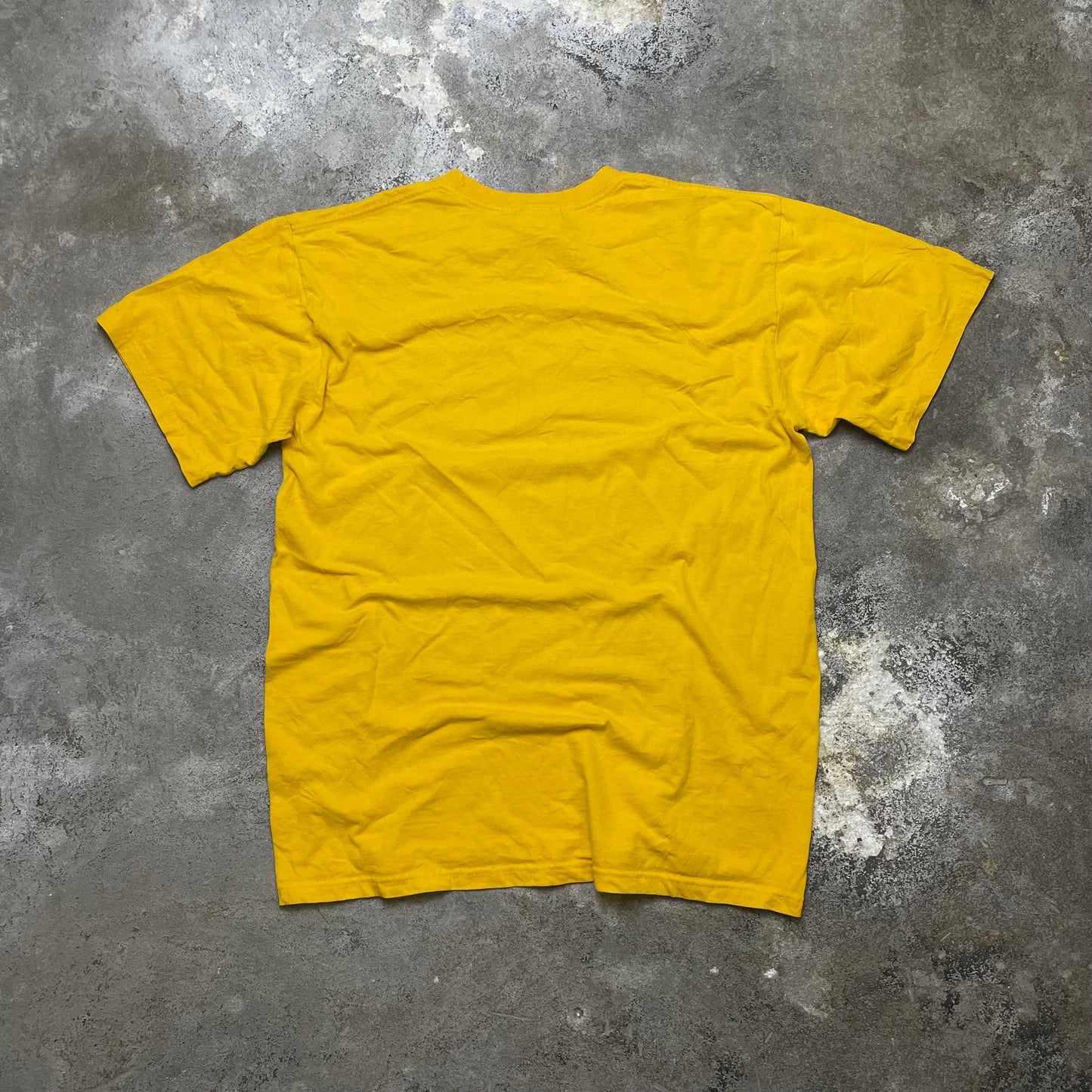 Early 2000’s Nike tee (M)