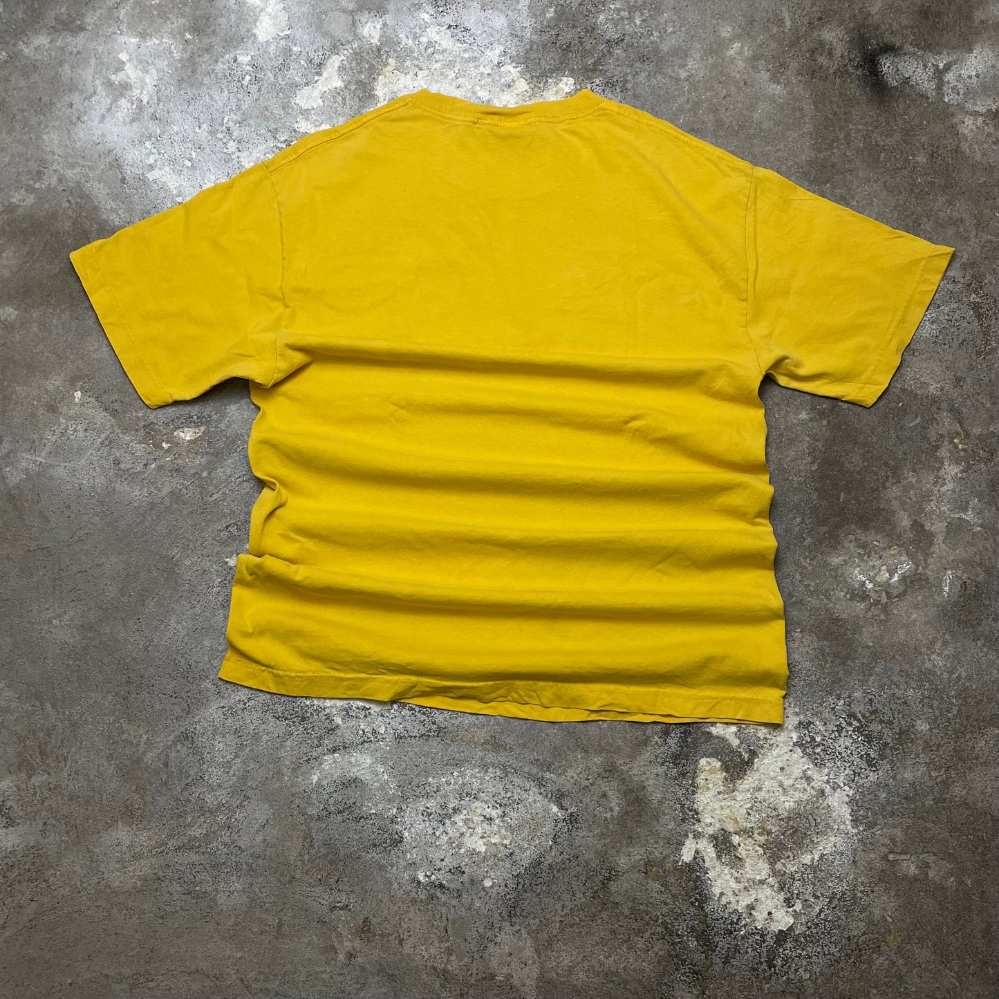 Minnesota Vikings tee (XL)