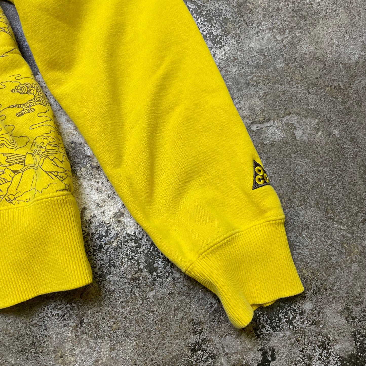 2010s Nike ACG zip hoodie (S)
